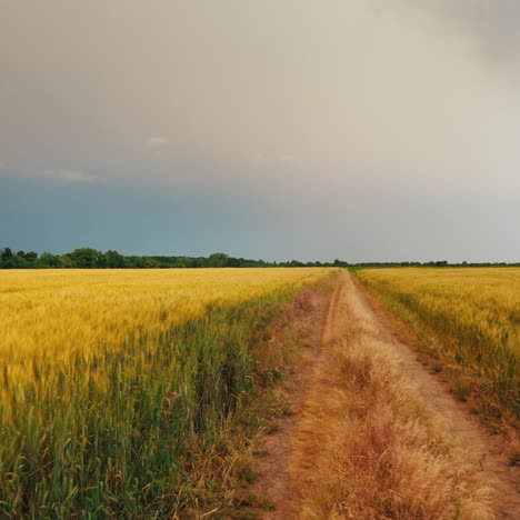 Road-To-The-Field-Of-Wheat-Against-The-Background-Of-A-Dramatic-Storm-Sky-1