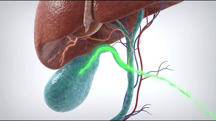 Internal view of nervous system showing internal damage