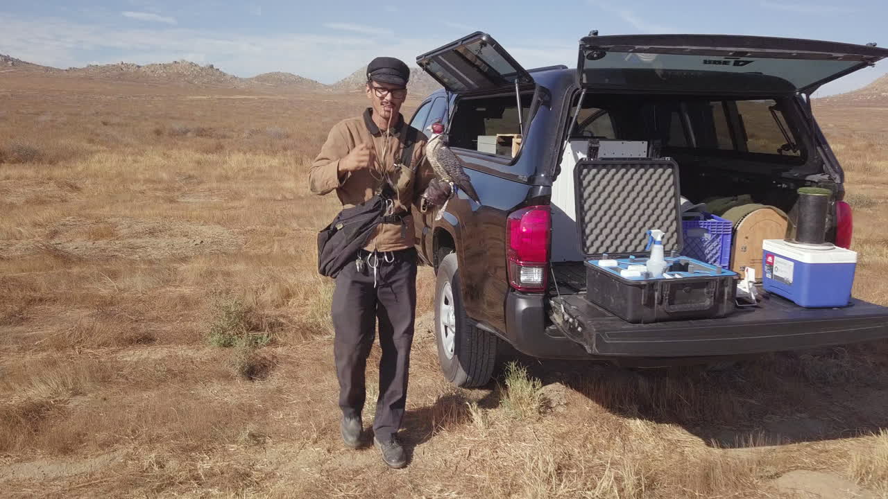 hombre haciendo entrenamiento de cetrería con halcón obtiene equipo de equipo de camión