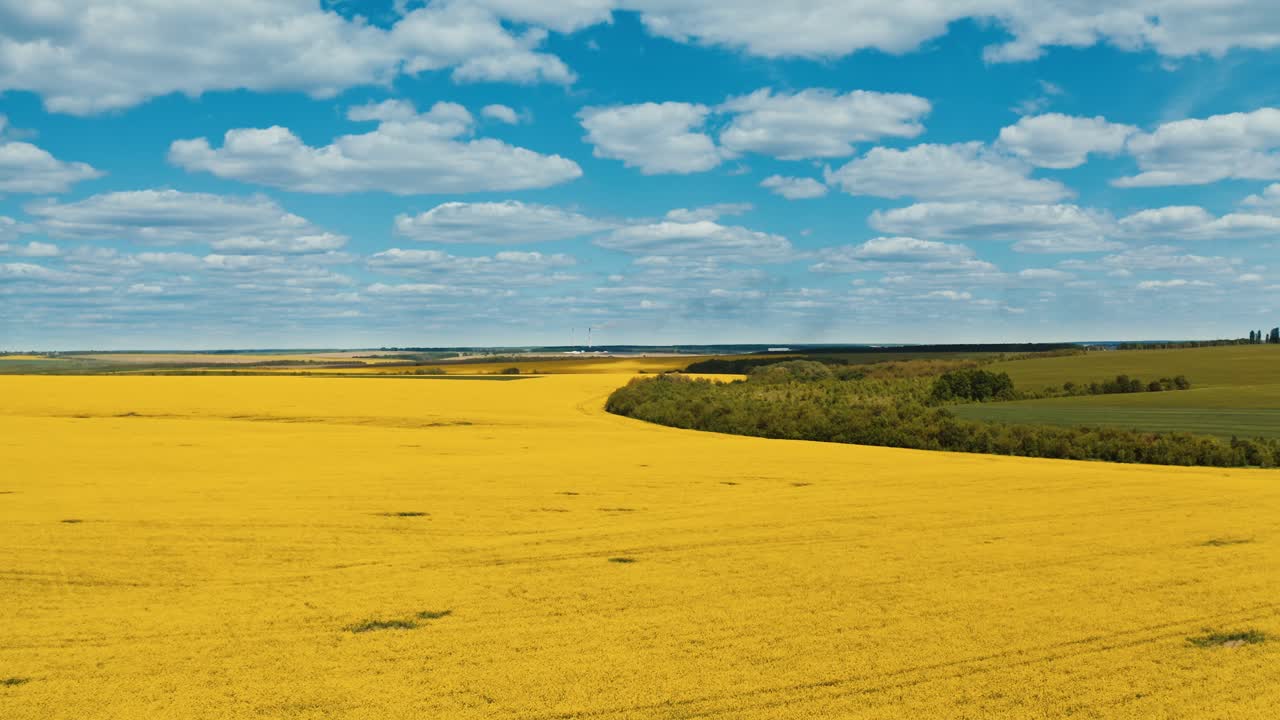 Aerial shot of rape seed field. Aerial view of beautiful rural landscape with blooming fields