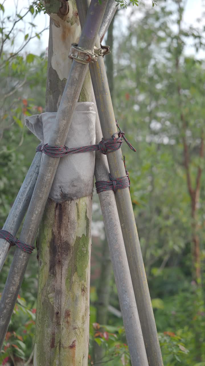 Tronco de árbol sostenido por postes metálicos en un entorno natural.