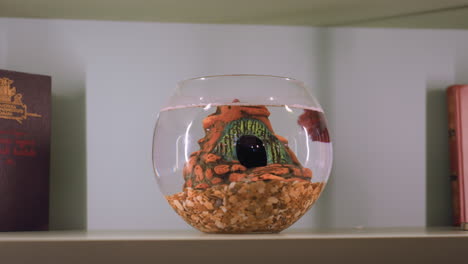red fish swims inside transparent glass jar filled with water and decorative eye-shaped sculpture, surrounded by gravel at bottom, shelf background includes closed book and neutral wall tones