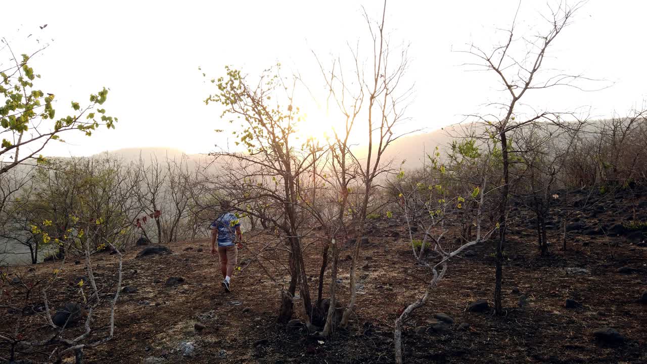 un hombre caminando por el bosque para ver la puesta de sol con una cámara recorriendo el paisaje