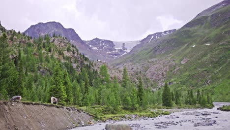 Scenic-landscape-with-a-fast-mountain-glacier-river-flowing-between-rocky-stones,-Amazing-Natural-Landmark,-Kaunertall,-Tirol