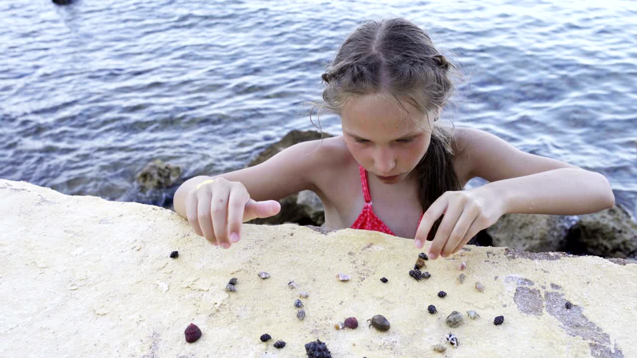 девушка играет с пагуроидой на пляже.