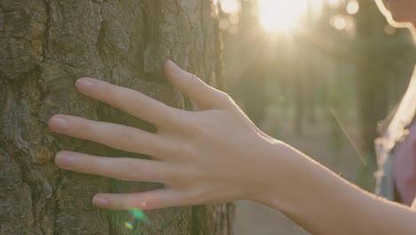 la mano de la mujer tocando el árbol la naturaleza de la niña acariciando la corteza sintiendo la textura natural en el bosque bosque concepto de conservación del medio ambiente