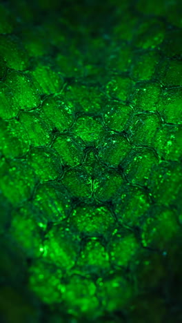 vibrant green abstract texture