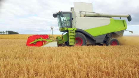 Drone-footage-of-golden-fields-and-combine-harvester