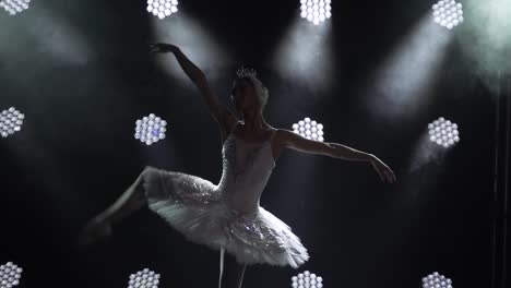 classical ballet choreography perfoming by young b 2023 11 27 04 50 45 utc.mov | art, background, ballerina, ballet