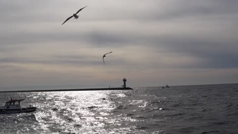 Seagulls-and-a-boat-traveling-on-the-waves-by-the-Bosphorus-Lighthouse-in-Istanbul--low-aerial