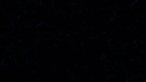 abstract looped 4k fondo oscuro con luz de neón azul que se ejecuta en tubos curvos. bg para espectáculos festivos o eventos de vacaciones, exposiciones, festivales o conciertos, videos musicales, vj loop para clubes nocturnos
