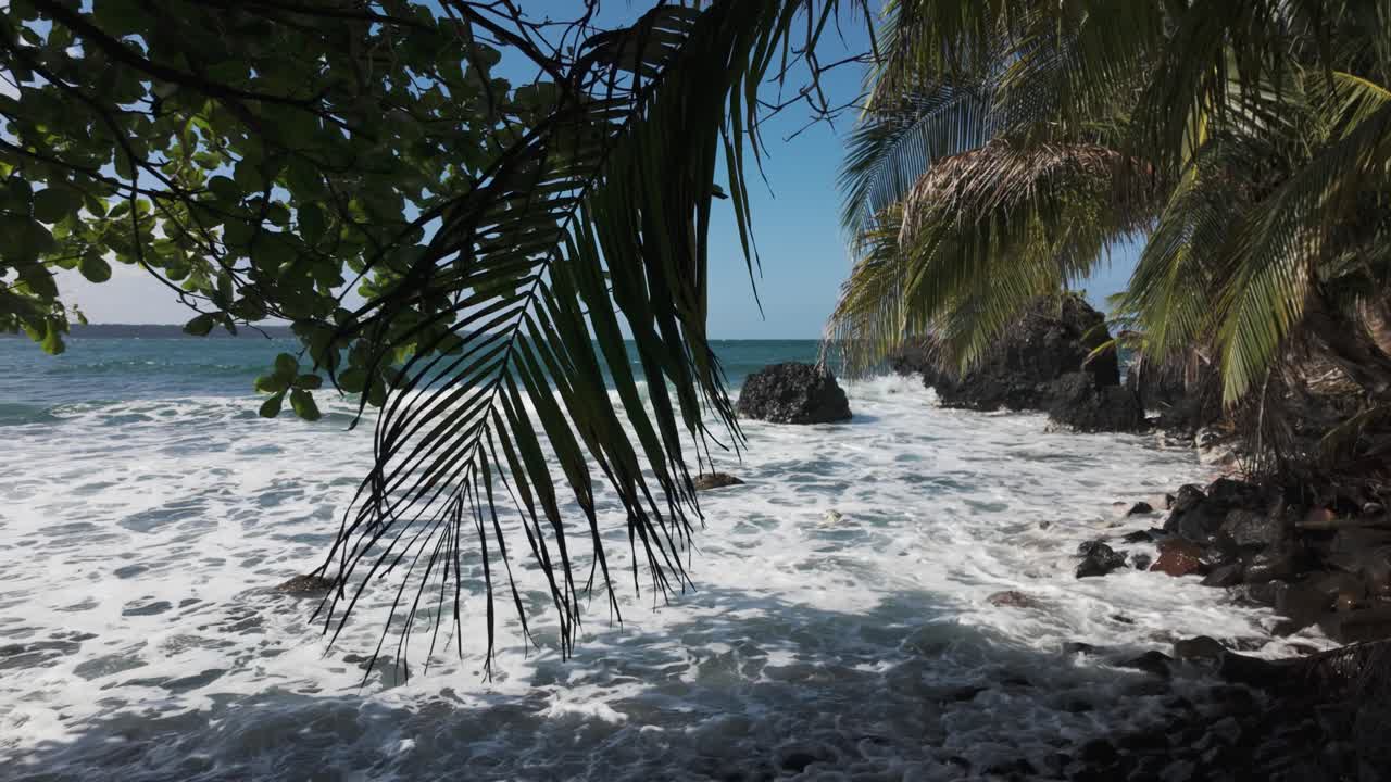 Paisagem selvagem da Ilha Bastimentos, ondas rolando sobre a costa rochosa com palmeiras, Bocas Del Toro, Panamá.