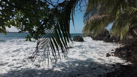 wild landscape from bastimentos island, waves rolling over rocky seashore with palm trees, bocas del toro, panama