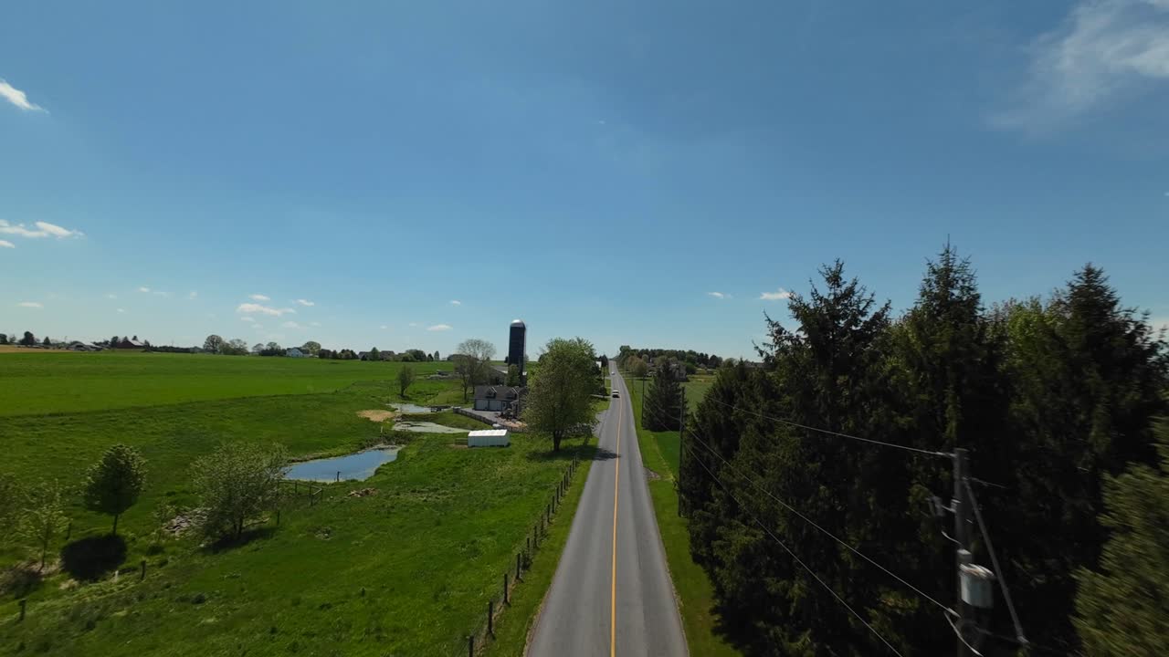 아메리칸 타운 시골의 트리 애비뉴 로드 사이에 드론 비행