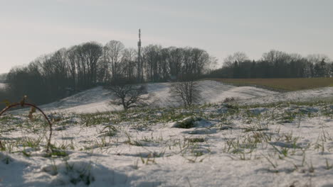 Countryside-with-melting-snow-and-trees