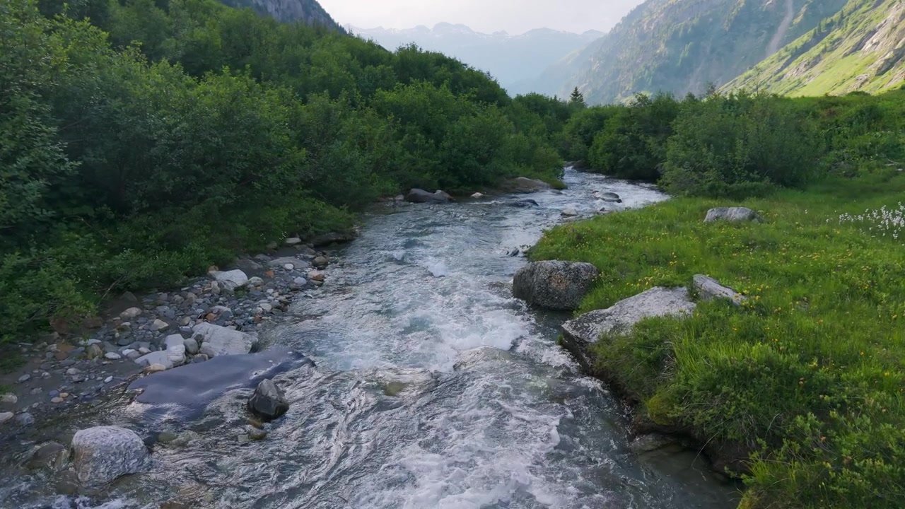 Vista drone che vola bassa sopra l'acqua impetuosa di un ruscello alpino roccioso circondato da una lussureggiante vegetazione verde in Svizzera. Avanzamento aereo.