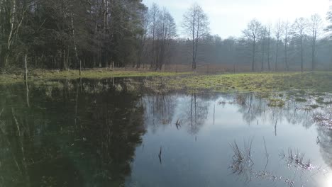 Luftaufnahme-Einer-Überlaufwiese-In-Der-Nähe-Eines-Sonnigen-Waldtages