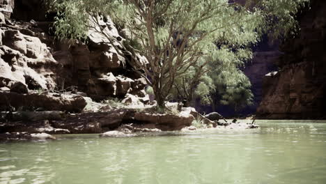 scenic view of a river surrounded by rocky cliffs and lush greenery