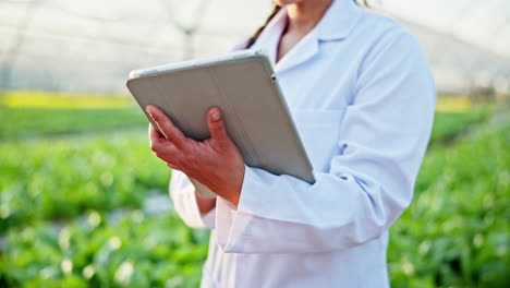 scientist using tablet in greenhouse