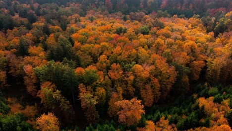 stunning aerial 4k drone video of a slovenia 's fall beauty