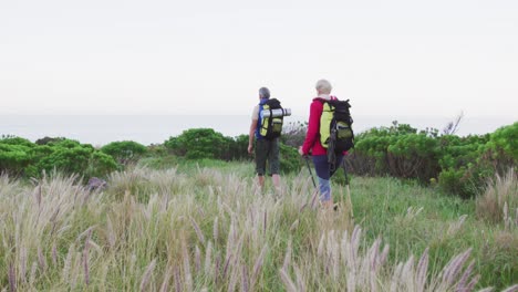 senior hiker couple with backpacks and hiking poles while walking in the grass field.