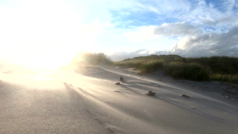 dunas de arena con hierba de dunas en la tormenta del mar del norte, dunas de senderismo, protección de diques, sondervig, jutlandia, dinamarca, 4k