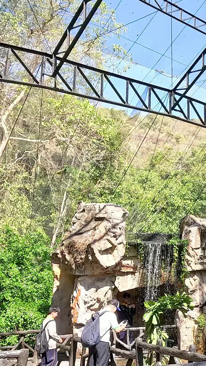 visitantes disfrutando de una cascada en un parque tropical