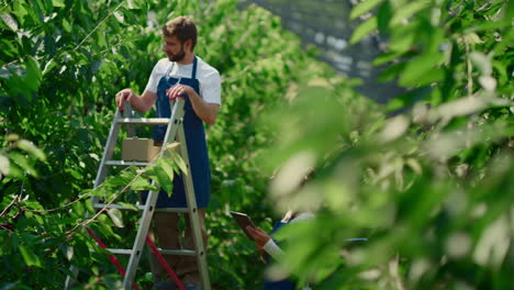 especialistas en agrobusiness que trabajan en la granja recopilando datos discutiendo la producción