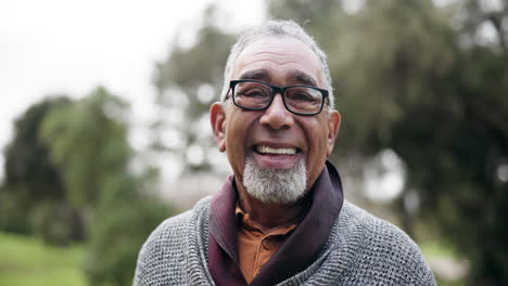 senior man, smile and face in a park for a walk
