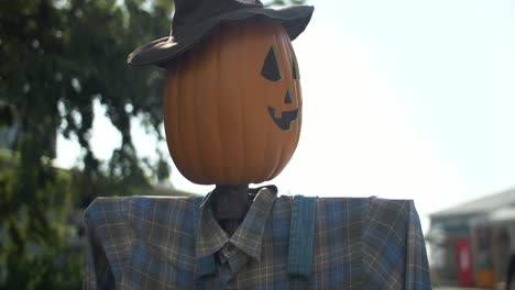 pumpkin scarecrow at halloween pumpkin patch