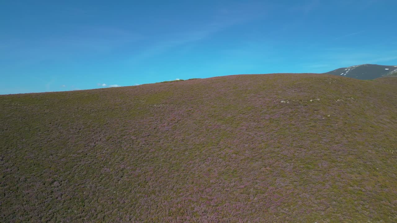 스페인 갈리시아의 피오르네도 마을의 푸른 산 위를 날아다니는 - 드론 촬영