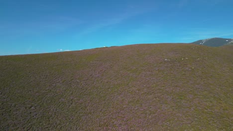 Flying-Above-Green-Mountains-In-Piornedo-Village,-Galicia,-Spain---Drone-Shot