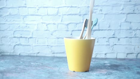 toothbrushes in a yellow cup