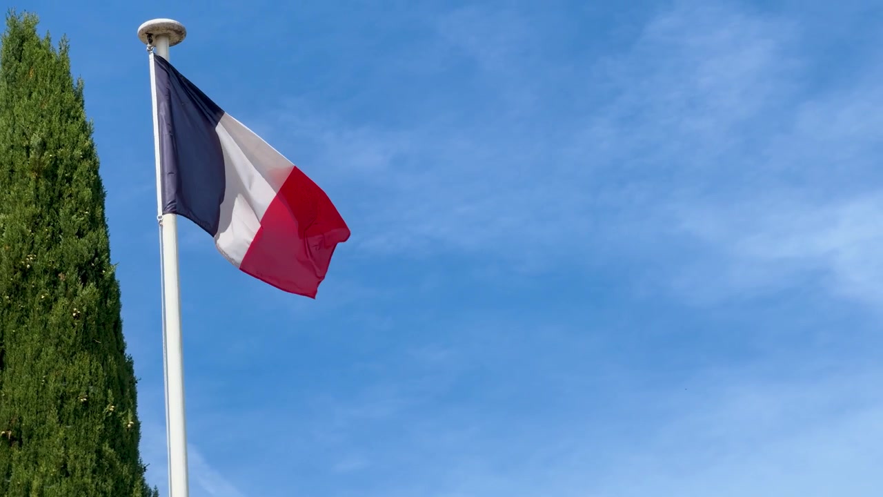 La bandiera nazionale francese sventola da un'asta accanto a un cipresso a Marsiglia, Francia