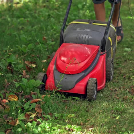 lawn mower cutting green grass