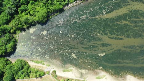 a drone shot over a bay in brooklyn. it is a sunny day and the water is calm and reflective. there are green trees along the shore and algae on the water. the camera trucks to the right