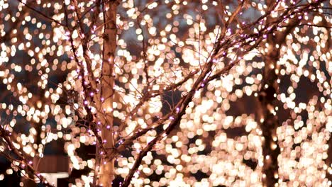 las luces navideñas parpadean y brillan detrás del árbol que también está adornado con luces navideñas