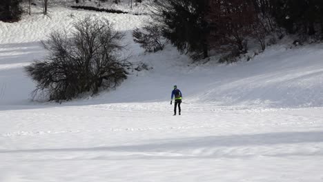 a man runs on skis at the edge of the forest