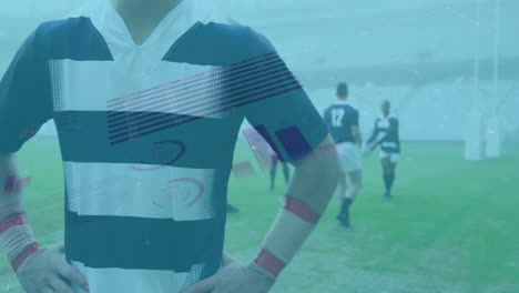 Animation-Von-Statistiken-über-Rugbyspieler