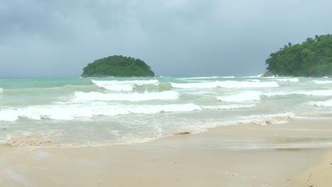 storm in rainy season make big waves. big waves shatter dust timbers come on the beach made dirt beach