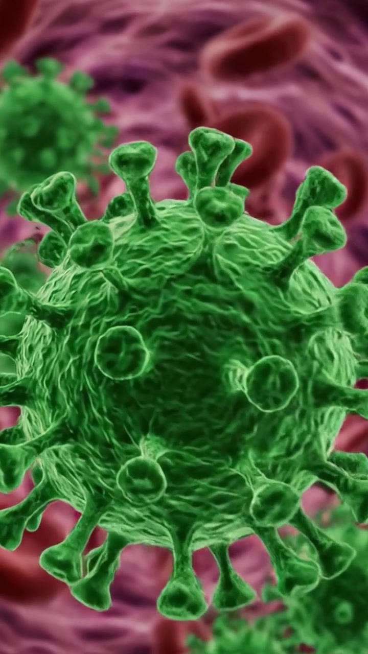 Visualizzazione microscopica di strutture virali nel flusso sanguigno, che evidenzia l'interazione tra patogeni e globuli rossi in una vista ravvicinata.