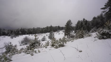 Invierno-Duro-Y-Frío-Con-La-Nieve-Que-Ha-Cubierto-Los-Bosques-De-Pinos-Y-Las-Montañas