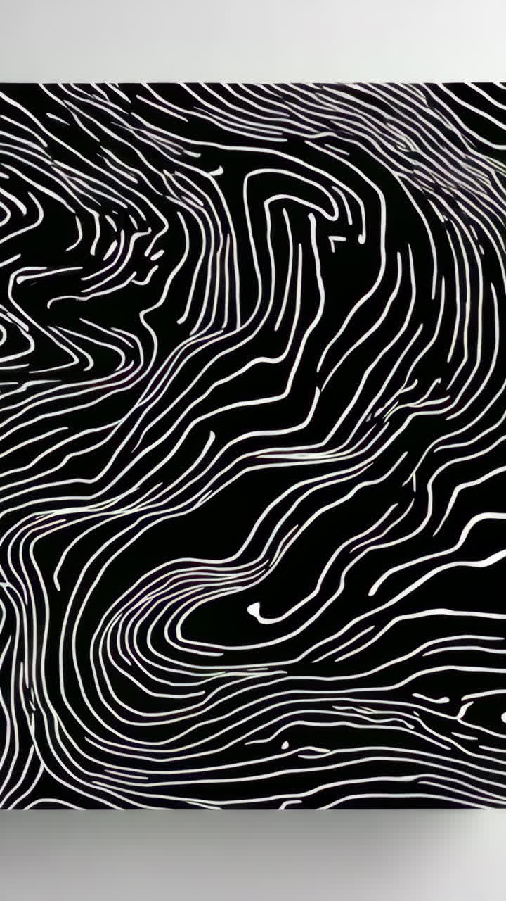 Abstract Wavy White Lines on Black Background