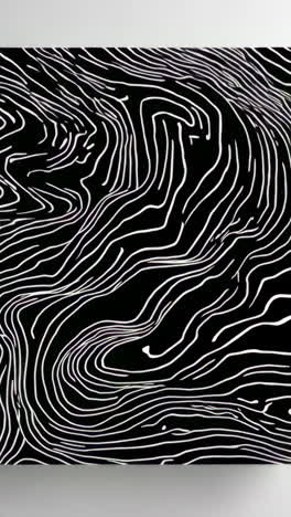abstract wavy white lines on black background