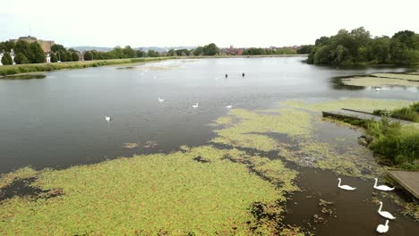 fotografía aérea de las obras de agua en el norte de belfast, ni.