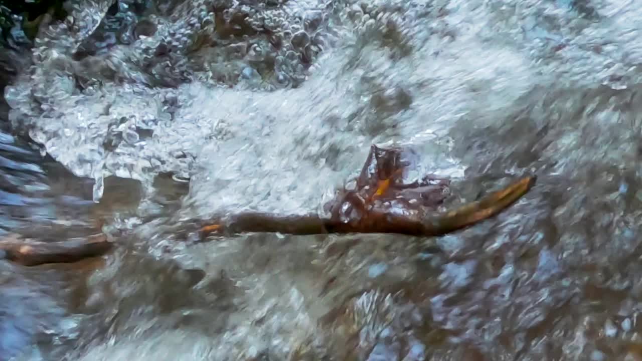 A stick is stuck in the moving water
