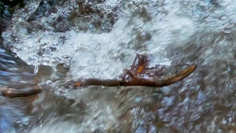 a stick is stuck in the moving water