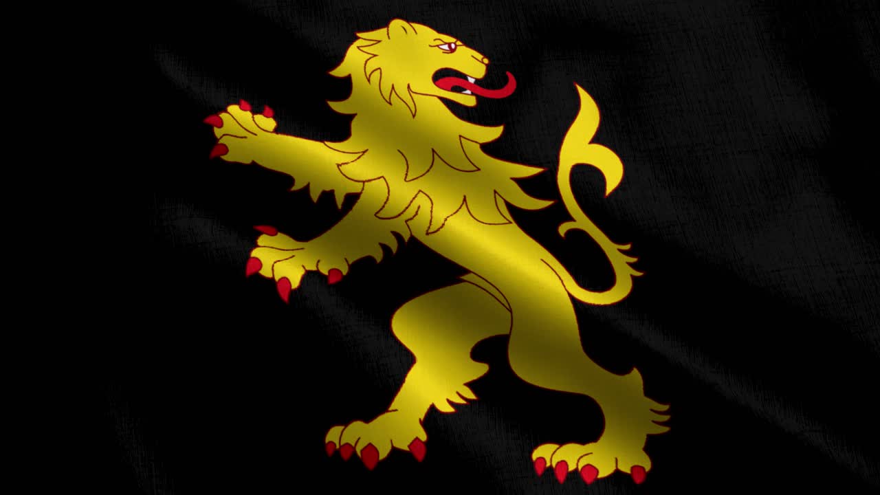 bandera de la ciudad de cardiganshire