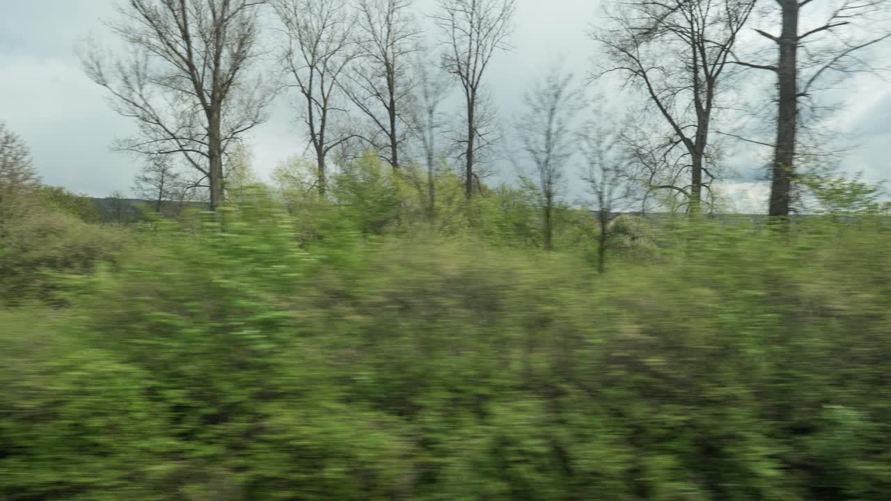 Vista in timelapse dal finestrino di un treno in corsa di un paesaggio di campagna con alberi, foreste e case contro un cielo nuvoloso