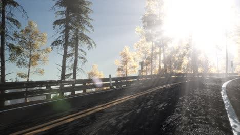 camino en el bosque